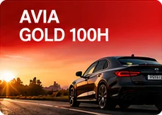 AVIA Gold 100H